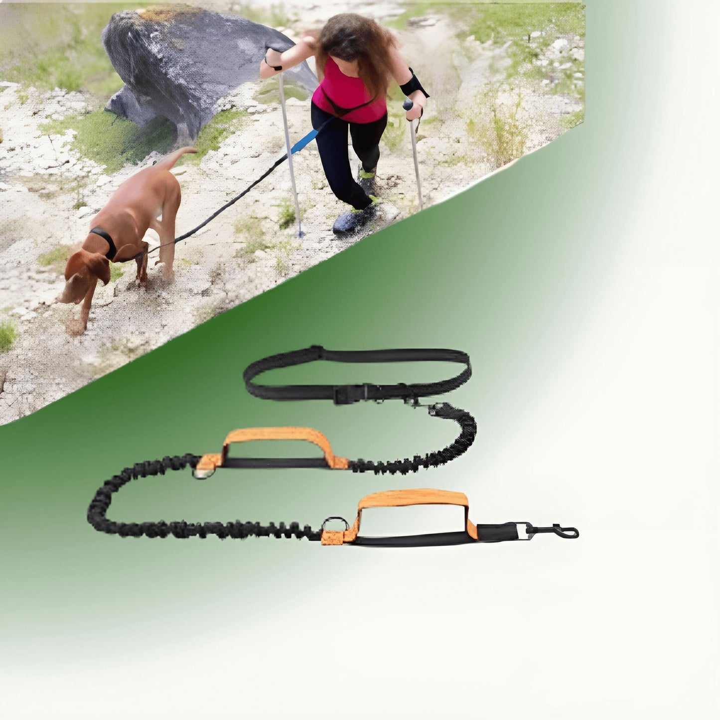 DOCAFIT- Anti-Schock-Hundeleine | Schonend für Mensch und Hund, durch 2 Ruckdämpfer