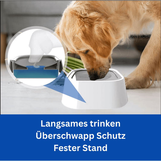 Sorgt für trockenen Boden und verhilft zum langsamen trinken!