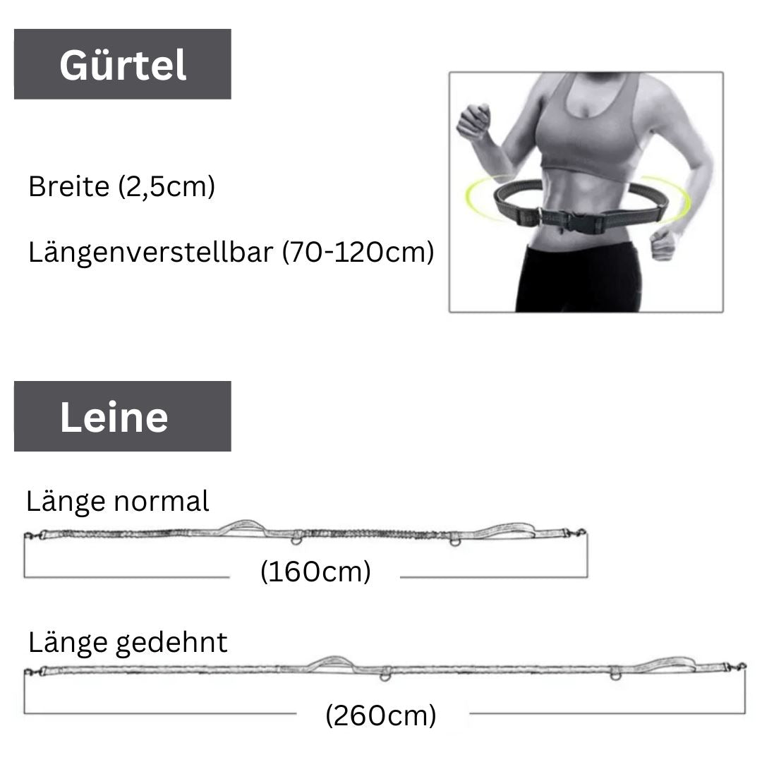 DOCAFIT- Anti-Schock-Hundeleine | Schonend für Mensch und Hund, durch 2 Ruckdämpfer