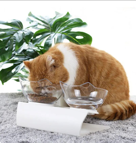 DOCAFIT- Futterstation für Katzen   |  Gesund und richtige Haltung