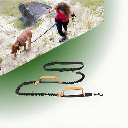DOCAFIT- Anti-Schock-Hundeleine  |  Schonend für Mensch und Hund, durch 2 Ruckdämpfer