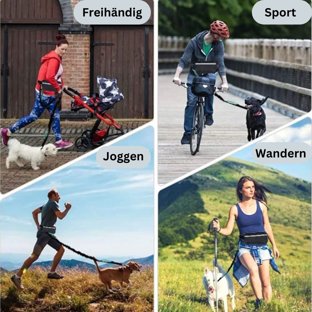 DOCAFIT- Anti-Schock-Hundeleine  |  Schonend für Mensch und Hund, durch 2 Ruckdämpfer