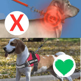 DOCAFIT- Hundegeschirr |   Atmungsaktiv, individuel einstellbar, bester Komfort + absolute Sicherheit!