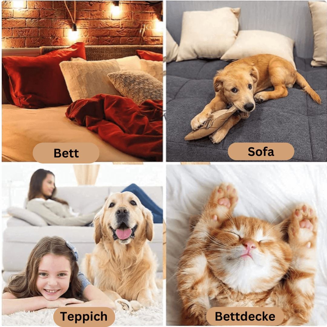 DOCAFIT- Hunde Haar Entferner  |  Hundehaare und Katzenfell ganz schnell und leicht entfernt