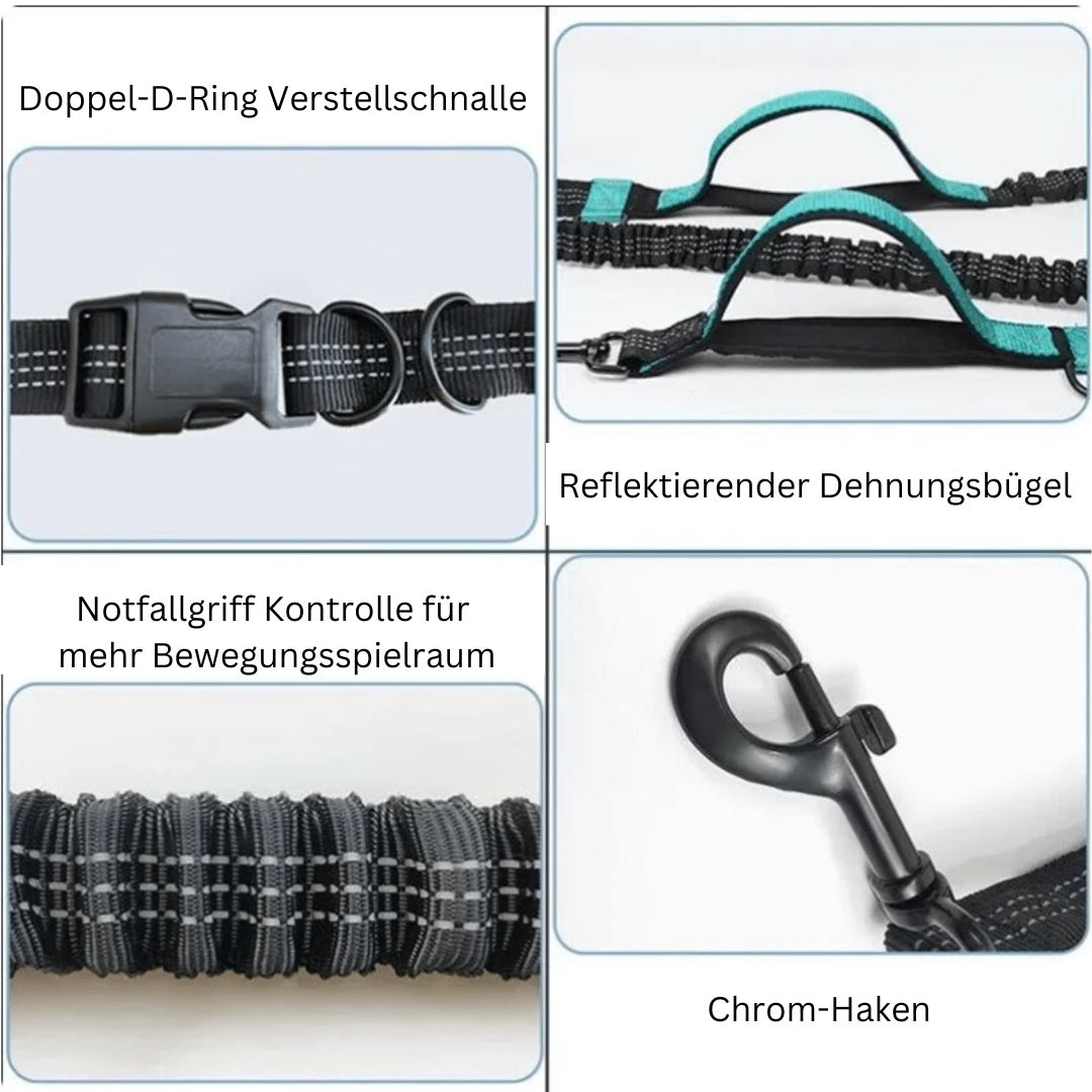 DOCAFIT- Anti-Schock-Hundeleine  |  Schonend für Mensch und Hund, durch 2 Ruckdämpfer