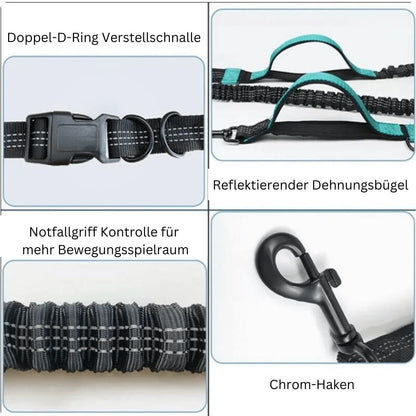 DOCAFIT- Anti-Schock-Hundeleine  |  Schonend für Mensch und Hund, durch 2 Ruckdämpfer