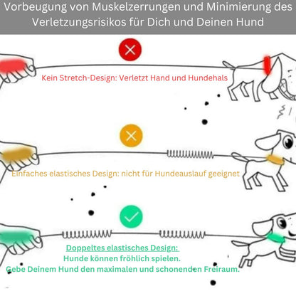 DOCAFIT- Anti-Schock-Hundeleine  |  Schonend für Mensch und Hund, durch 2 Ruckdämpfer