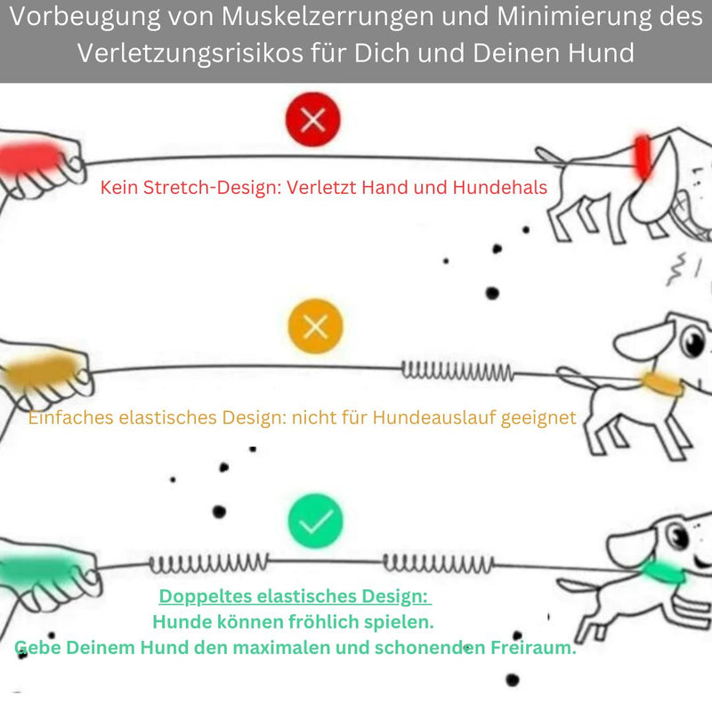 DOCAFIT- Anti-Schock-Hundeleine  |  Schonend für Mensch und Hund, durch 2 Ruckdämpfer