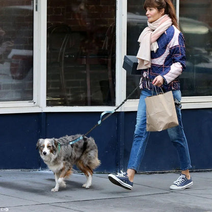 DOCAFIT- Anti-Schock-Hundeleine  |  Schonend für Mensch und Hund, durch 2 Ruckdämpfer