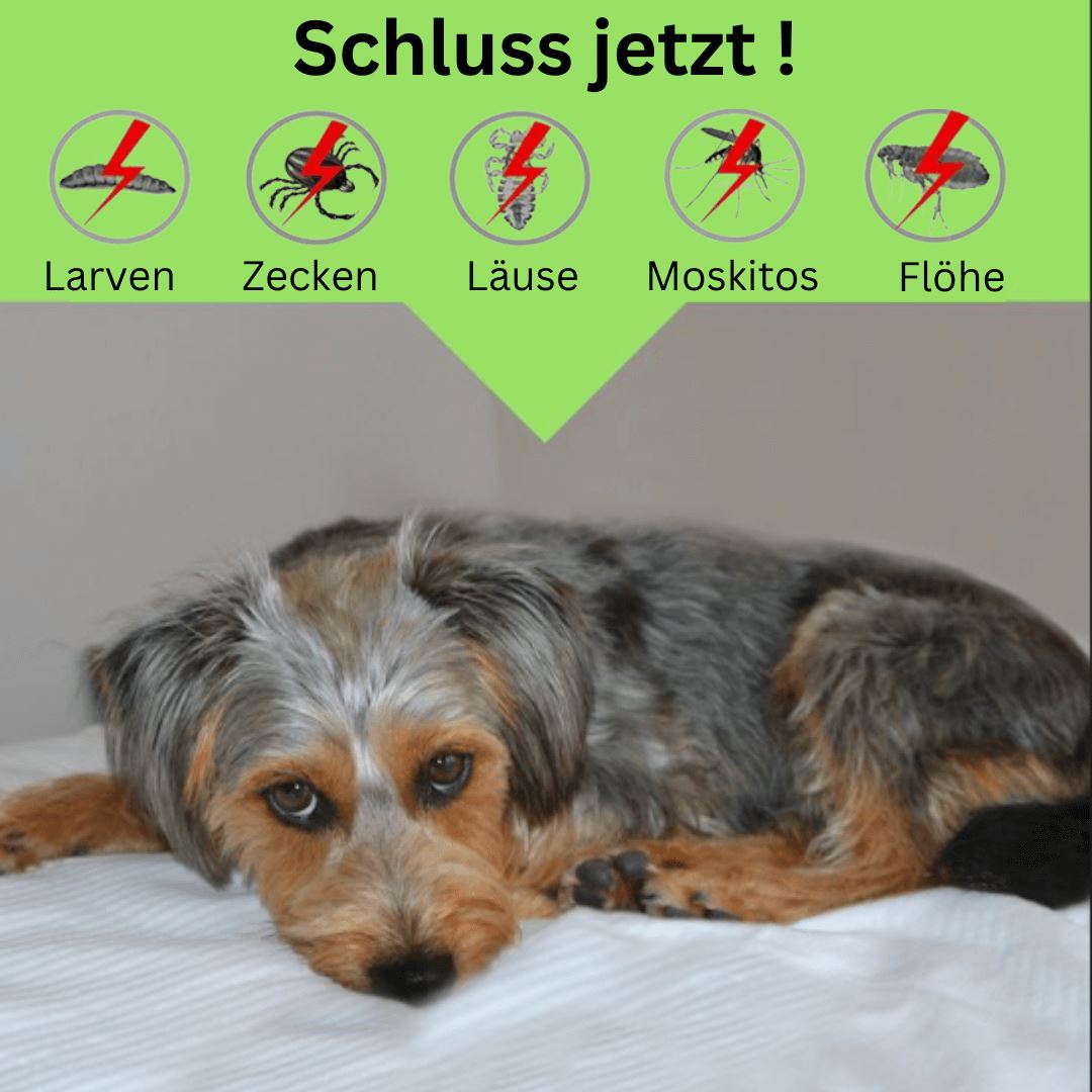 DOCAFIT - Effektiver Zeckenschutz | Hoch wirksam für das Wohlergehen deiner Fellnasen