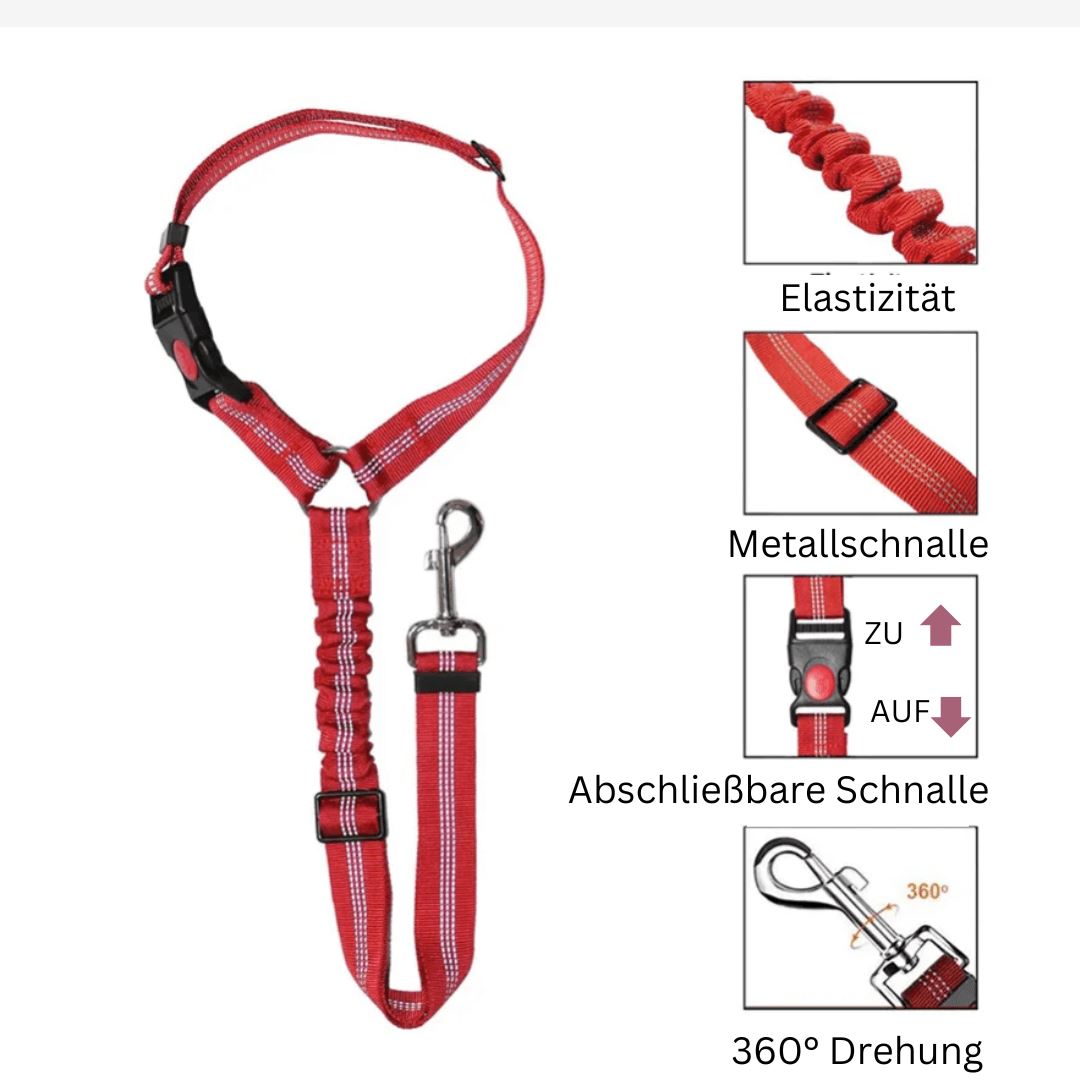 DOCAFIT- KFZ Hunde-Sicherheitsanschnallgurt  |   Anti-Schock Anschnallgurt mit 2 festmach Möglichkeiten.