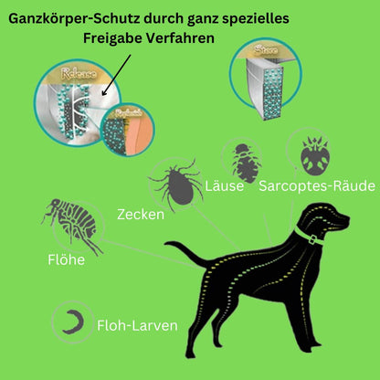 DOCAFIT - Effektiver Zeckenschutz | Hoch wirksam für das Wohlergehen deiner Fellnasen