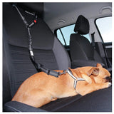 DOCAFIT- KFZ Hunde-Sicherheitsanschnallgurt  |   Anti-Schock Anschnallgurt mit 2 festmach Möglichkeiten.