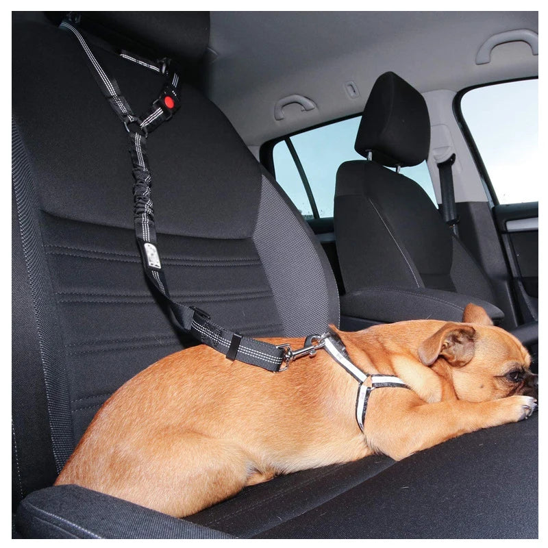 DOCAFIT- KFZ Hunde-Sicherheitsanschnallgurt  |   Anti-Schock Anschnallgurt mit 2 festmach Möglichkeiten.