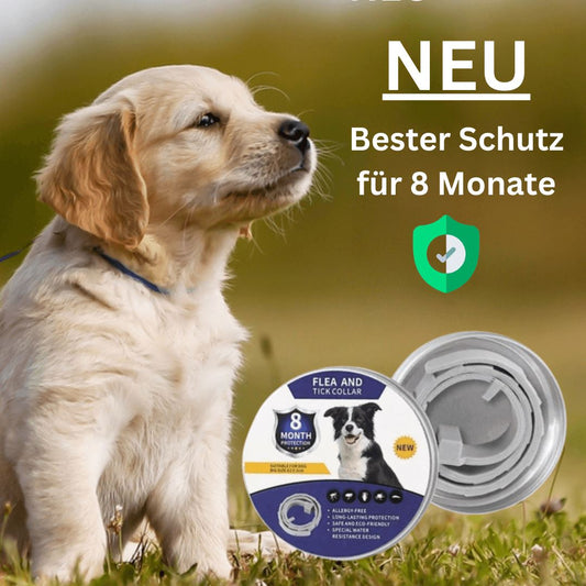 DOCAFIT - Effektiver Zeckenschutz | Hoch wirksam für das Wohlergehen deiner Fellnasen