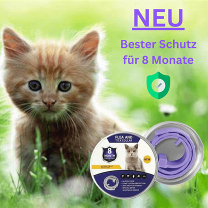 DOCAFIT - Effektiver Zeckenschutz | Hoch wirksam für das Wohlergehen deiner Fellnasen