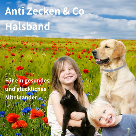 DOCAFIT - Effektiver Zeckenschutz | Hoch wirksam für das Wohlergehen deiner Fellnasen