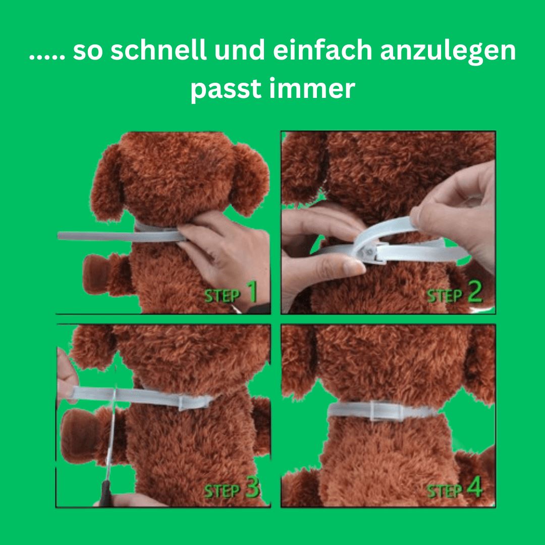 DOCAFIT - Effektiver Zeckenschutz | Hoch wirksam für das Wohlergehen deiner Fellnasen
